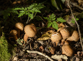 Similar image 22363000