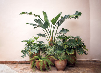 Similar image 22377732