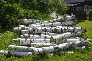 Similar image 22362948