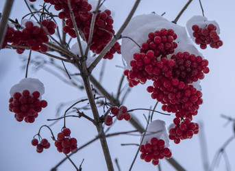 Similar image 22362951