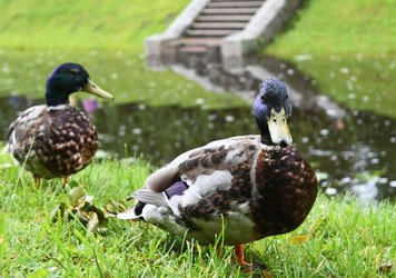 Similar image 22367438