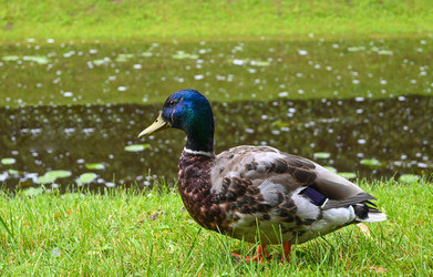 Similar image 22367323