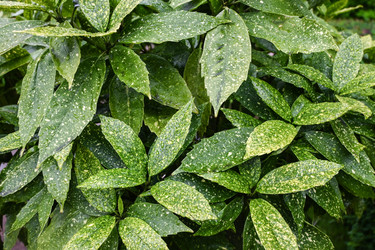 Similar image 22367325