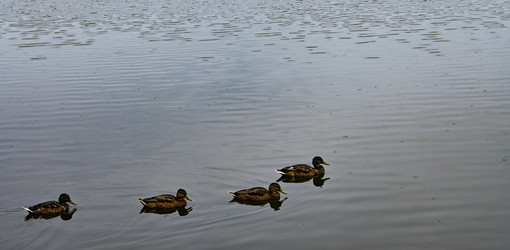 Similar image 22367328