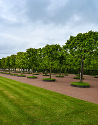 Similar image 22367332