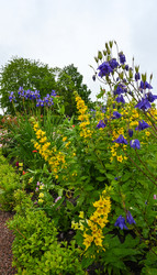 Similar image 22367350