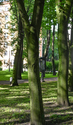 Similar image 22367352