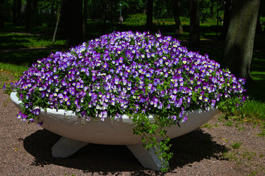 Similar image 22367358