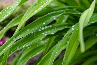 Similar image 22367359