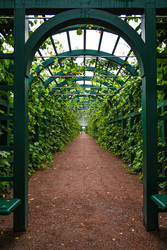 Similar image 22367366