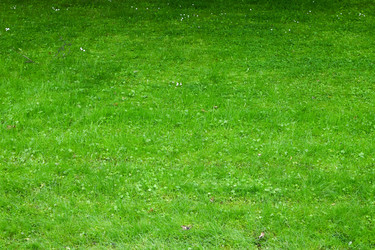 Similar image 22367375