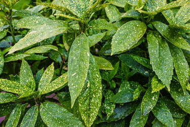 Similar image 22367376