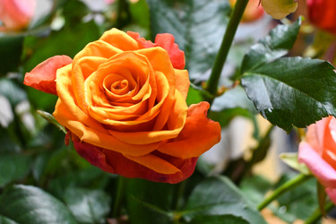 Similar image 22367382