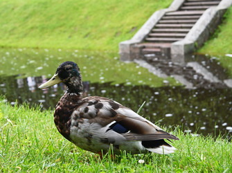 Similar image 22367387