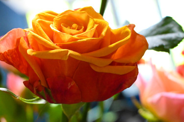 Similar image 22367393