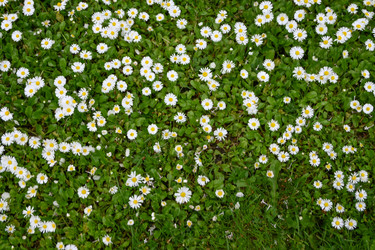 Similar image 22367396