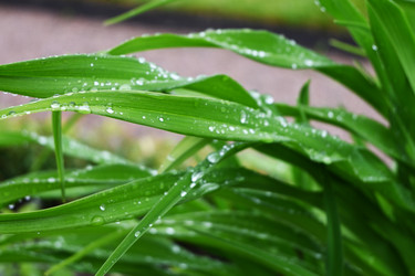 Similar image 22367408