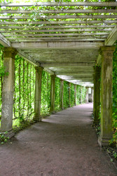 Similar image 22367410