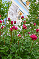 Similar image 22367411