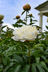 Similar image 22367412