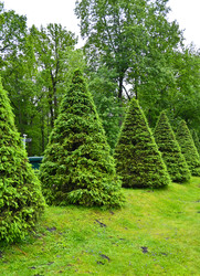 Similar image 22367419