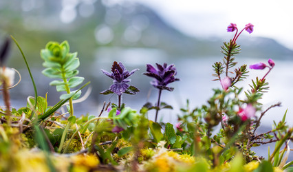 Similar image 22366076