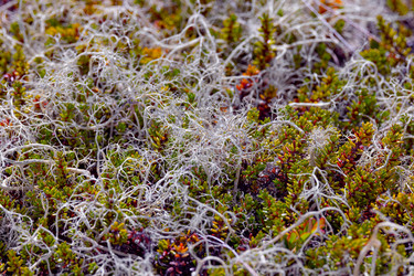 Similar image 22366078