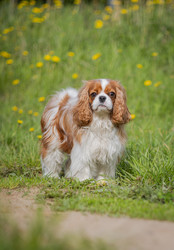 Similar image 22366089