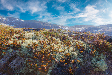 Similar image 22366093