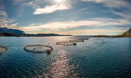 Similar image 22366105