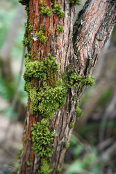 Similar image 22366107