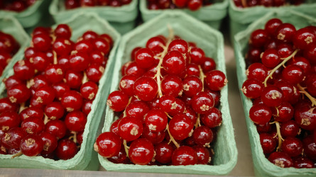 Similar image 22366112