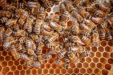 Similar image 22366115