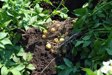 Similar image 22376180