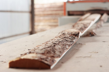 Similar image 22376110