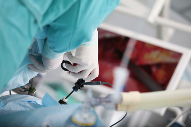 Similar image 22376112