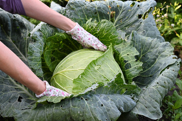 Similar image 22363630