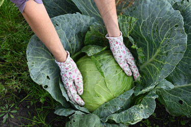 Similar image 22363638