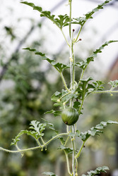 Similar image 22373309