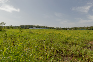 Similar image 22374231