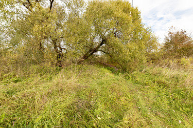 Similar image 22374244