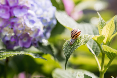 Similar image 22373310