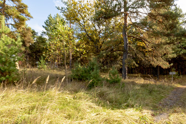 Similar image 22374246