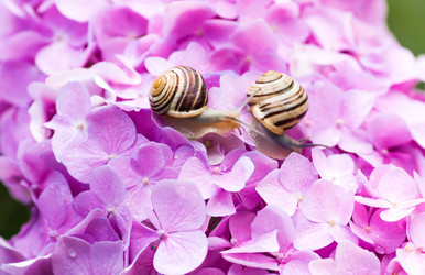 Similar image 22373311