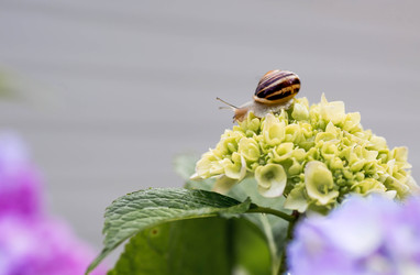 Similar image 22373312