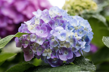 Similar image 22373313