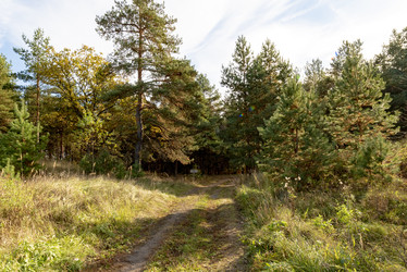 Similar image 22374250