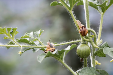 Similar image 22373315