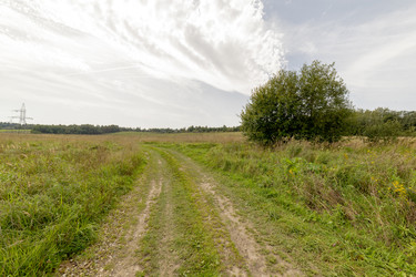 Similar image 22374264