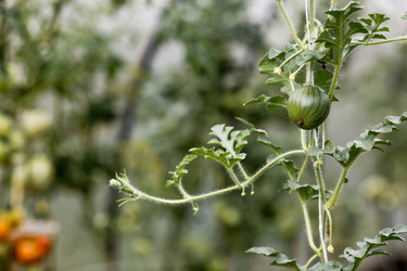 Similar image 22373318